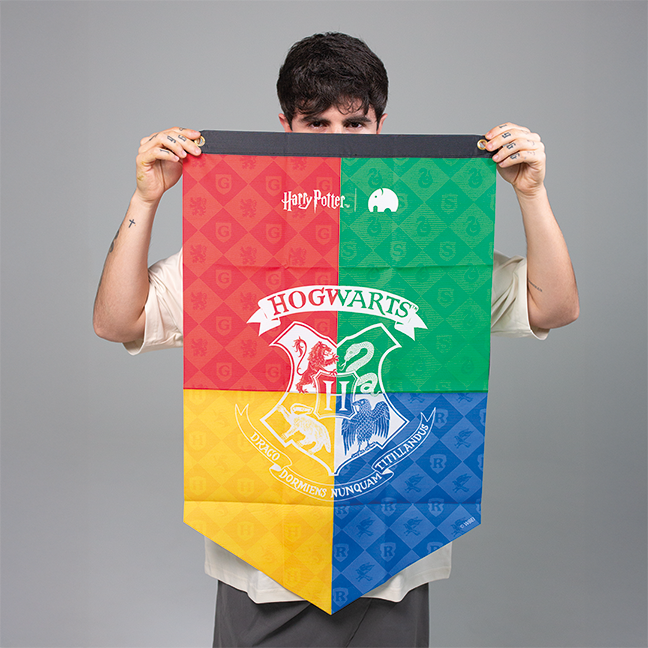 Bandeira Hogwarts